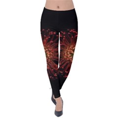 Red Flower Blooming In The Dark Velvet Leggings by Sapixe