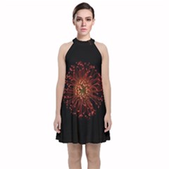 Red Flower Blooming In The Dark Velvet Halter Neckline Dress  by Sapixe