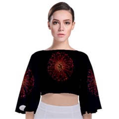 Red Flower Blooming In The Dark Tie Back Butterfly Sleeve Chiffon Top by Sapixe