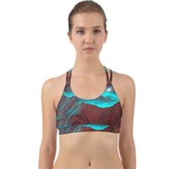 Shera Stringfellow Back Web Sports Bra