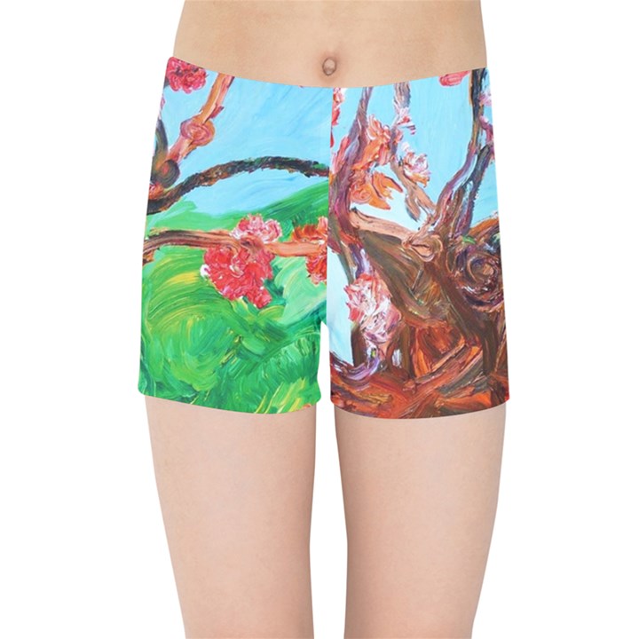 Coral Tree Blooming Kids Sports Shorts