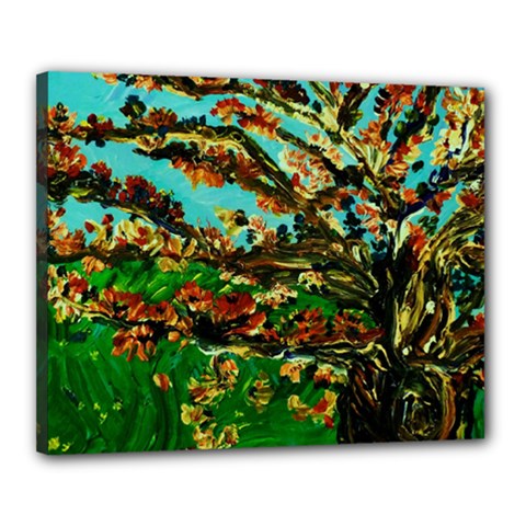 Coral Tree 1 Canvas 20  X 16  by bestdesignintheworld