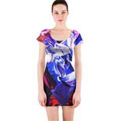 Cabin In The Mountain 1 Short Sleeve Bodycon Dress by bestdesignintheworld