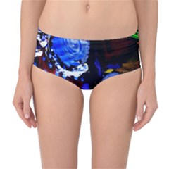 Balboa   Island On A Snd 3 Mid-waist Bikini Bottoms by bestdesignintheworld