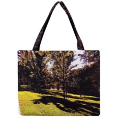 Highland Park 17 Mini Tote Bag by bestdesignintheworld