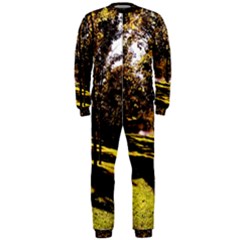 Highland Park 17 Onepiece Jumpsuit (men) 