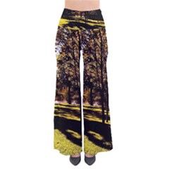 Highland Park 17 So Vintage Palazzo Pants by bestdesignintheworld