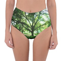 Highland Park 14 Reversible High-waist Bikini Bottoms by bestdesignintheworld