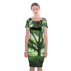 Highland Park 14 Classic Short Sleeve Midi Dress by bestdesignintheworld