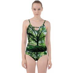 Highland Park 14 Cut Out Top Tankini Set by bestdesignintheworld