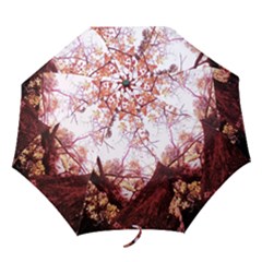 Highland Park 12 Folding Umbrellas by bestdesignintheworld