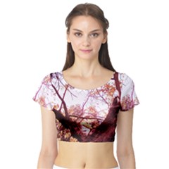 Highland Park 12 Short Sleeve Crop Top by bestdesignintheworld