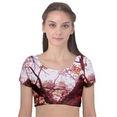 Highland Park 12 Velvet Short Sleeve Crop Top  by bestdesignintheworld