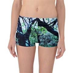 Highland Park 11 Reversible Boyleg Bikini Bottoms by bestdesignintheworld