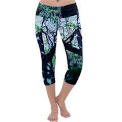 Highland Park 11 Capri Yoga Leggings by bestdesignintheworld