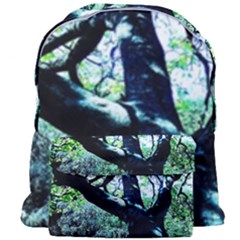 Highland Park 11 Giant Full Print Backpack by bestdesignintheworld