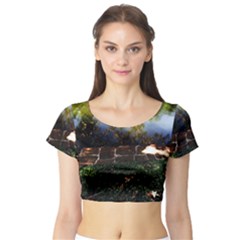 Highland Park 10 Short Sleeve Crop Top by bestdesignintheworld