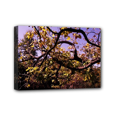 Highland Park 9 Mini Canvas 7  X 5  by bestdesignintheworld