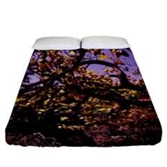 Highland Park 9 Fitted Sheet (california King Size) by bestdesignintheworld