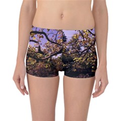 Highland Park 9 Reversible Boyleg Bikini Bottoms by bestdesignintheworld