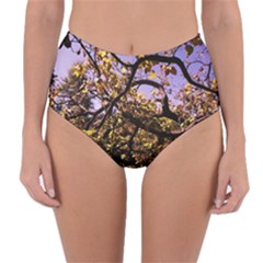 Highland Park 9 Reversible High-waist Bikini Bottoms by bestdesignintheworld