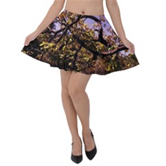 Highland Park 9 Velvet Skater Skirt by bestdesignintheworld