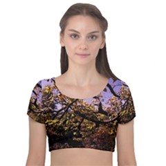 Highland Park 9 Velvet Short Sleeve Crop Top 