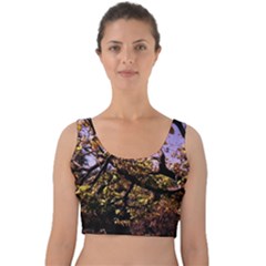 Highland Park 9 Velvet Crop Top