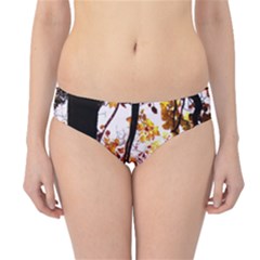 Highland Park 8 Hipster Bikini Bottoms by bestdesignintheworld