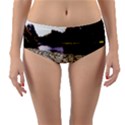 Highland Park 6 Reversible Mid-Waist Bikini Bottoms View3