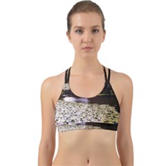 Highland Park 6 Back Web Sports Bra