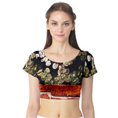 Highland Park 4 Short Sleeve Crop Top by bestdesignintheworld