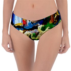 Catalina Island Not So Far 4 Reversible Classic Bikini Bottoms by bestdesignintheworld