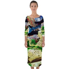 Catalina Island Not So Far 4 Quarter Sleeve Midi Bodycon Dress by bestdesignintheworld