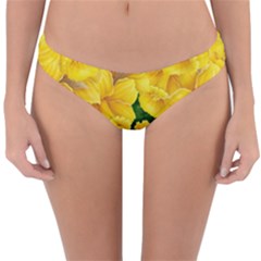 Springs First Arrivals Reversible Hipster Bikini Bottoms by Sapixe