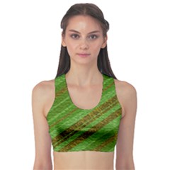 Stripes Course Texture Background Sports Bra by Sapixe