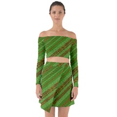 Stripes Course Texture Background Off Shoulder Top With Skirt Set by Sapixe