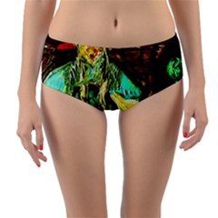 Girl In The Bar Reversible Mid-waist Bikini Bottoms