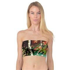 April   Birds Of Paradise Bandeau Top