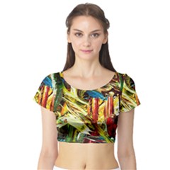 In A Mountains - State Washingtone Short Sleeve Crop Top by bestdesignintheworld