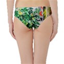 Dscf2188 -- plant in the room Hipster Bikini Bottoms View2