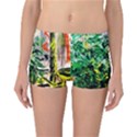 Dscf2188 -- plant in the room Reversible Boyleg Bikini Bottoms View1