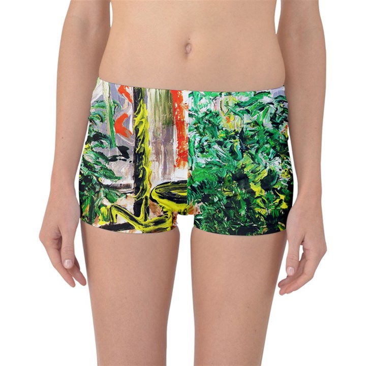 Dscf2188 -- plant in the room Reversible Boyleg Bikini Bottoms