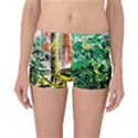 Dscf2188 -- plant in the room Reversible Boyleg Bikini Bottoms View3