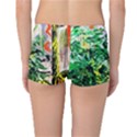 Dscf2188 -- plant in the room Reversible Boyleg Bikini Bottoms View4