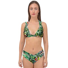 Dscf2188 -- Plant In The Room Double Strap Halter Bikini Set