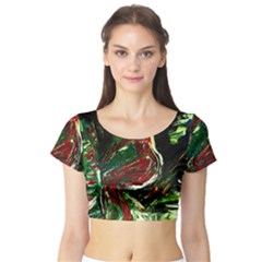 Dscf2240 - Moon Sonate Short Sleeve Crop Top by bestdesignintheworld