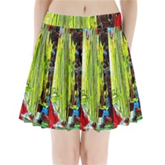 Dscf2262 - Point Of View - Part3 Pleated Mini Skirt by bestdesignintheworld