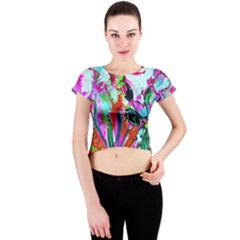 Dscf1472   Copy - Blooming Desert With Red Cactuses Crew Neck Crop Top by bestdesignintheworld