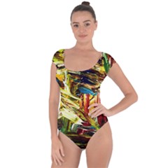 Dscf2289 - Mountain Road Short Sleeve Leotard  by bestdesignintheworld